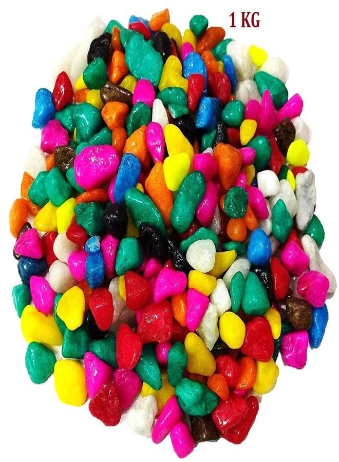 دي أس حصى متعدد الألوان DS1، أحجار لأحواض السمك، المزهريات، النوافير، الطاولات، الحدائق، 1 كجم - Image 2